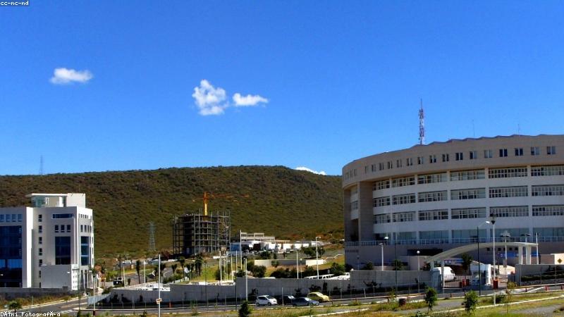 ai短剧在线观看——紅果免費短劇首页沉浸式播放界面